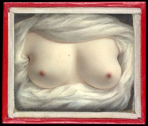 Beauty Revealed by Sarah Goodridge